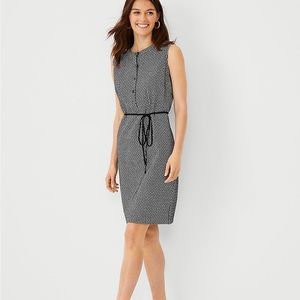Ann Taylor Shift Dress